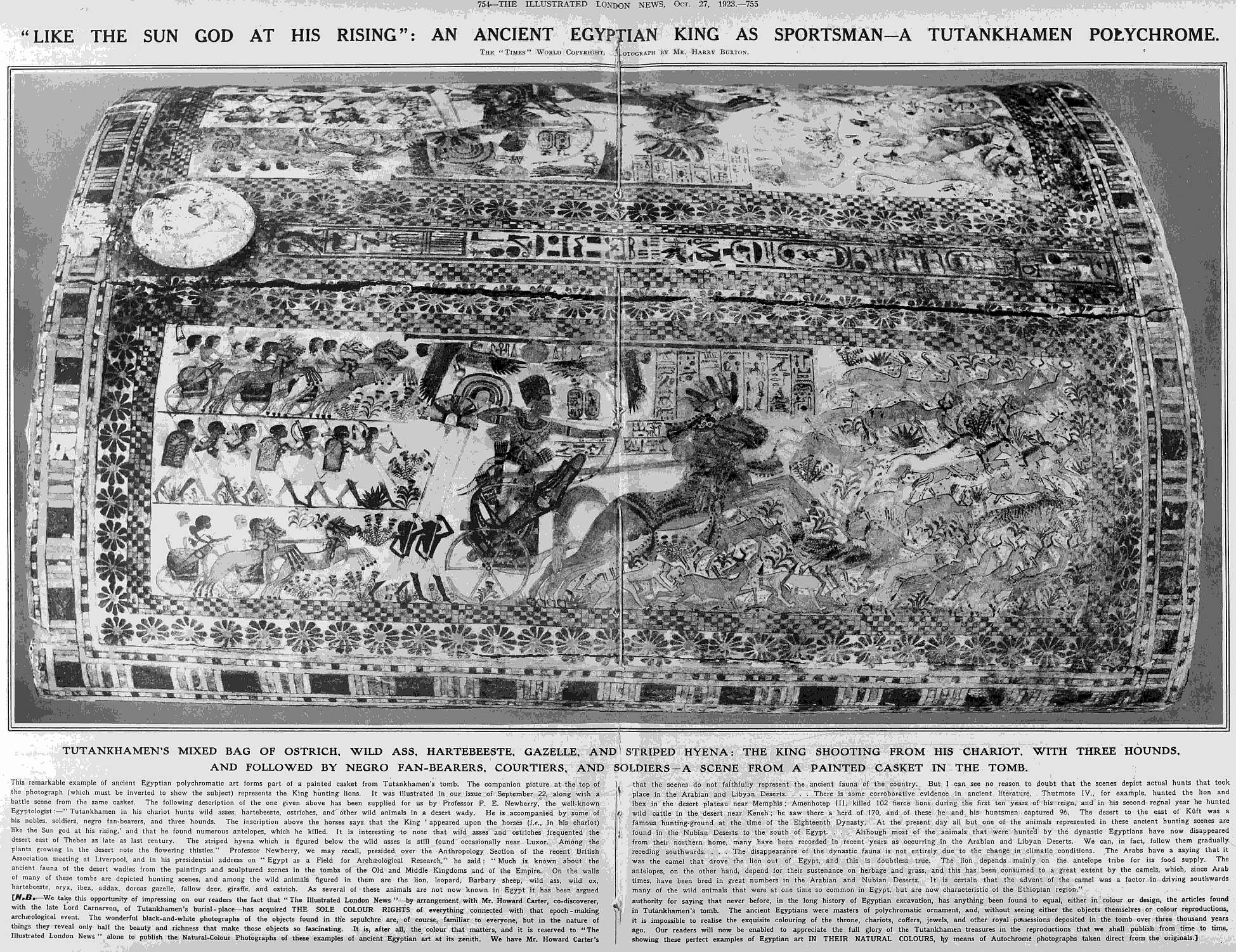 tut sportsman